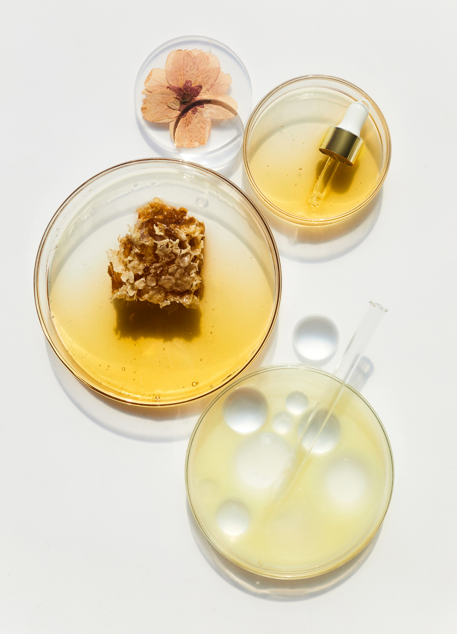 Four petri dishes with product ingredients in them